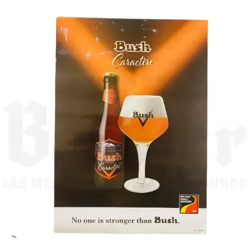 Bush Caractere Afiche